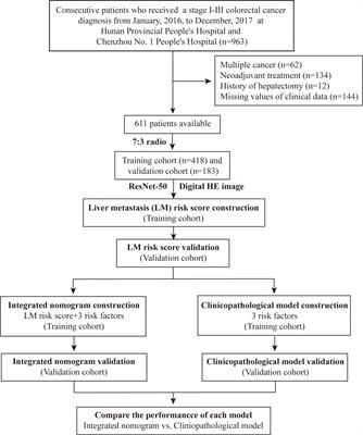 Accurate Prediction of Metachronous Liver Metastasis in Stage I-III Colorectal Cancer Patients Using Deep Learning With Digital Pathological Images